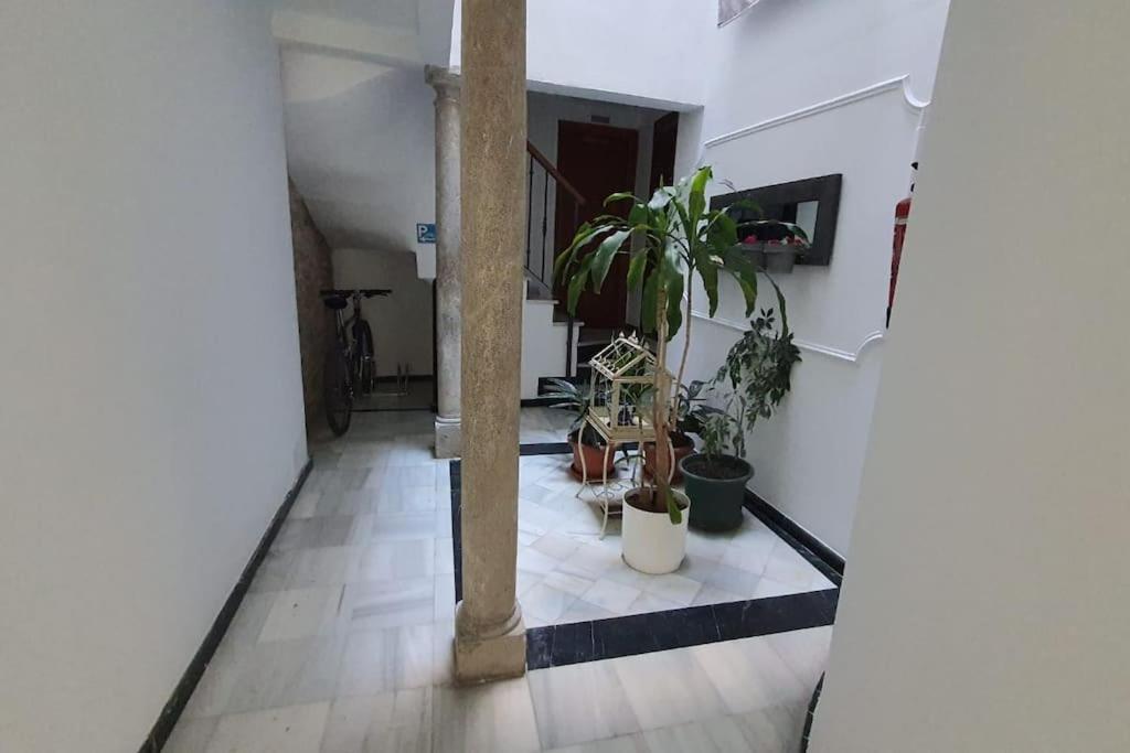 Appartement Aloja T Elvira